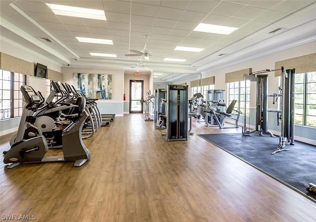 exercise room featuring a paneled ceiling, hardwood / wood-style floors, and ceiling fan