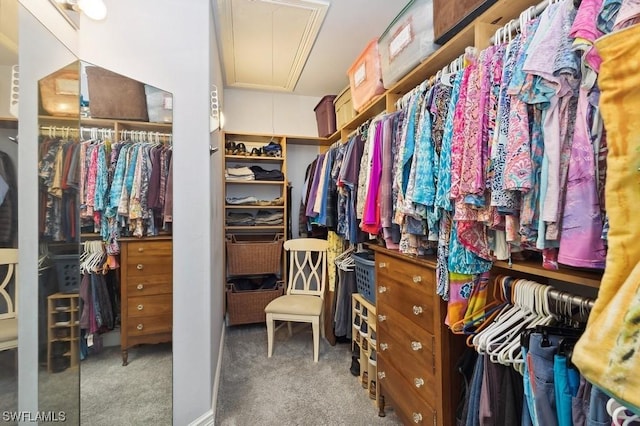 walk in closet with dark carpet