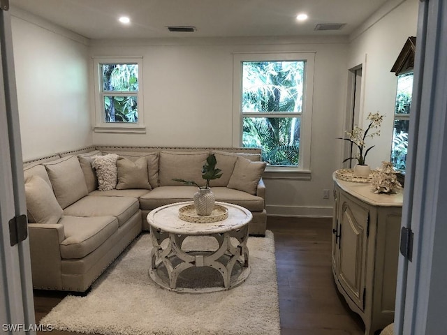 living room featuring a wealth of natural light and dark hardwood / wood-style flooring