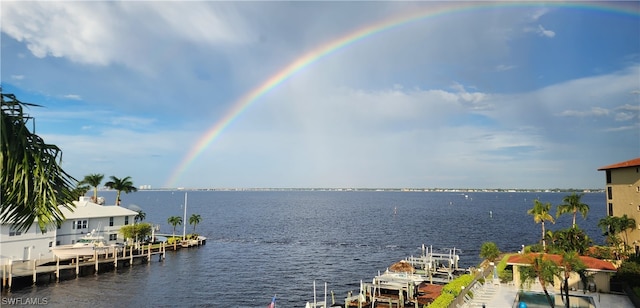 view of water feature with a boat dock