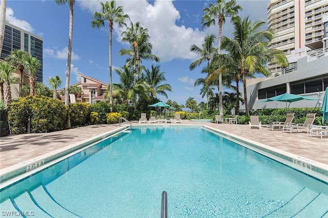 view of pool with a patio