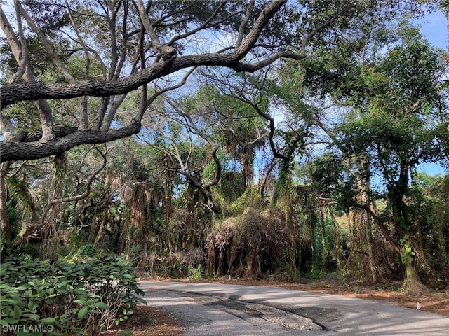 Listing photo 3 for 394 Wild Coffee Ln, Marco Island FL 34145