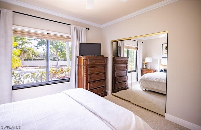 carpeted bedroom with ceiling fan, ornamental molding, and a closet