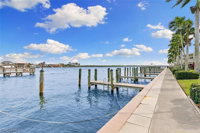 dock area featuring a water view