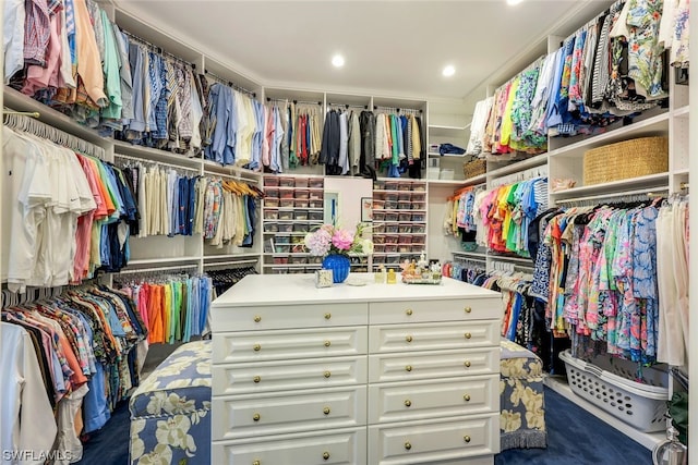 view of walk in closet