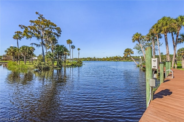 dock area with a water view