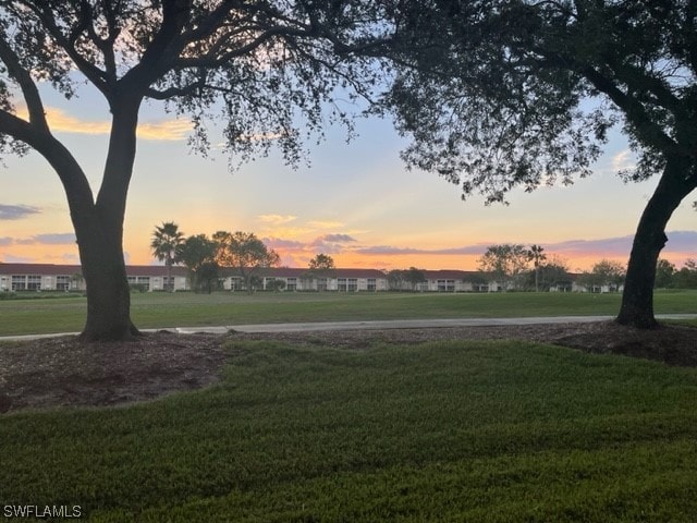 view of home's community with a yard