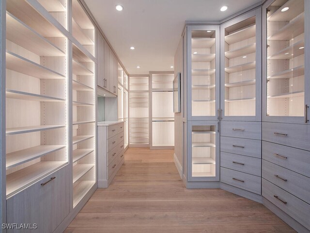 4101 Gulf Shore Blvd N Unit Ph-3, Naples, FL 34103 - spacious closet with light wood finished floors
