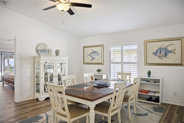dining space featuring ceiling fan and dark hardwood / wood-style flooring