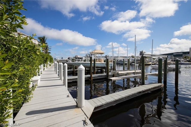 dock area with a water view