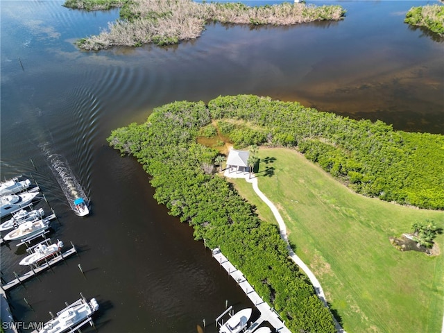 bird's eye view with a water view