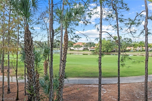 view of property's community with a yard