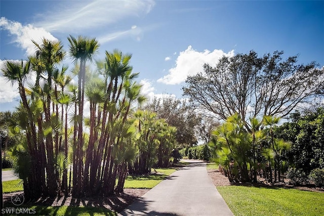 view of home's community featuring a yard