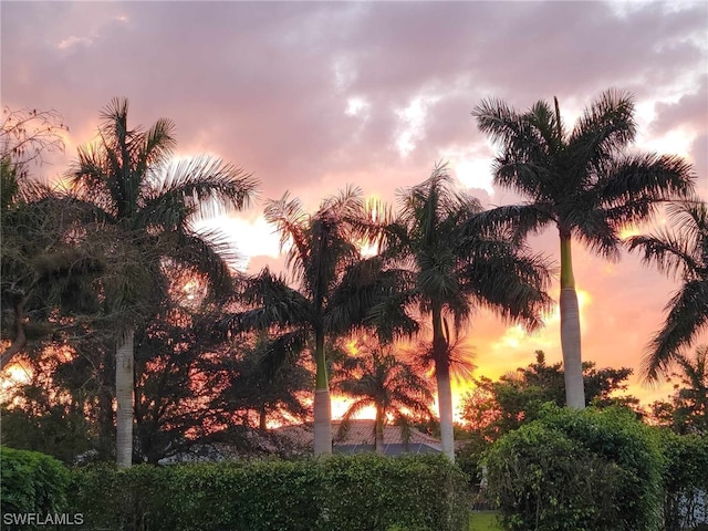 view of nature at dusk