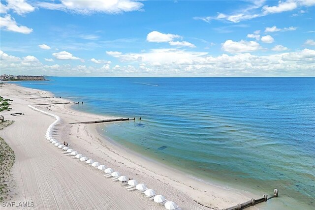 water view with a view of the beach