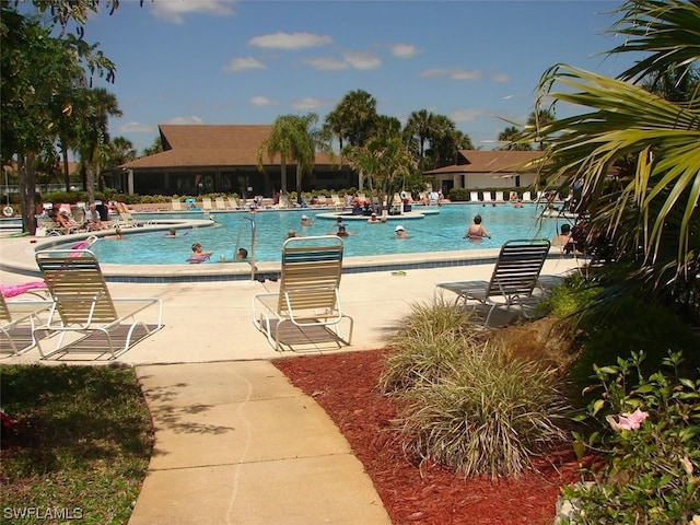 view of pool featuring a patio area