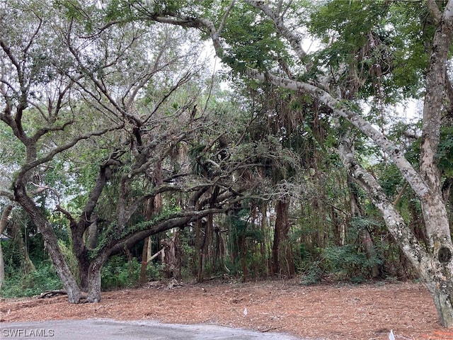 379 Morning Glory Ln, Marco Island FL, 34145 land for sale