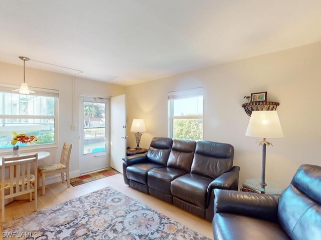 living room with a wealth of natural light