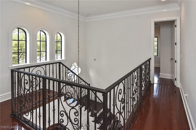 corridor featuring crown molding and dark wood-type flooring