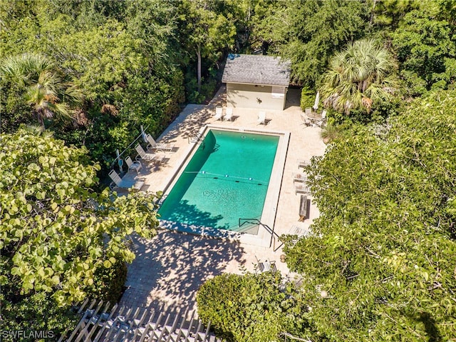 view of swimming pool with a patio area