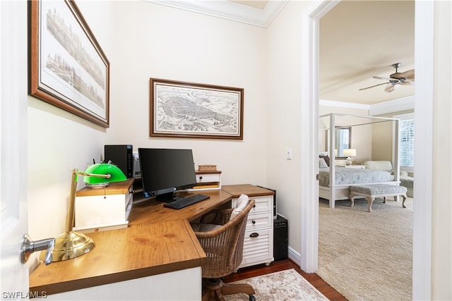 office space featuring crown molding, dark hardwood / wood-style floors, and ceiling fan