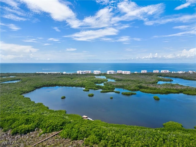 property view of water