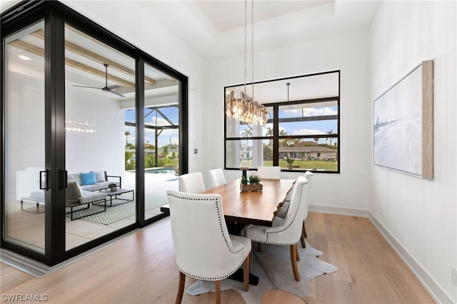 dining area with wood-type flooring, ceiling fan with notable chandelier, and a tray ceiling