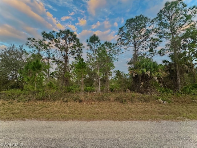 167 Clemson Ave S, Lehigh Acres FL, 33974 land for sale