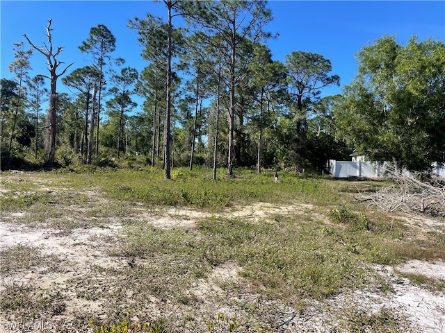 1013 Grant Blvd, Lehigh Acres FL, 33974 land for sale