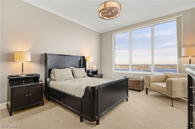 carpeted bedroom with multiple windows and crown molding