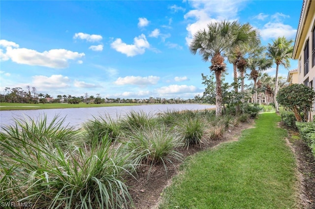 property view of water