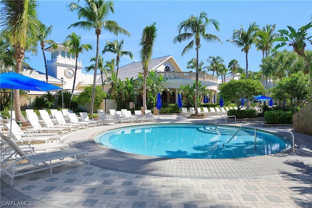 view of pool with a patio