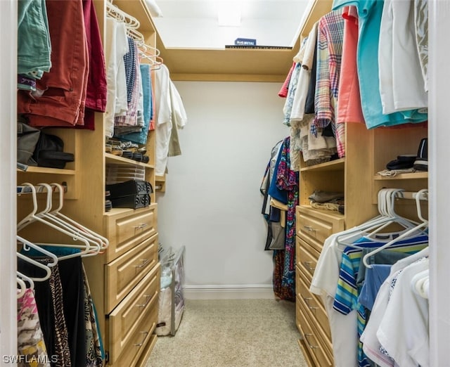 spacious closet with light colored carpet