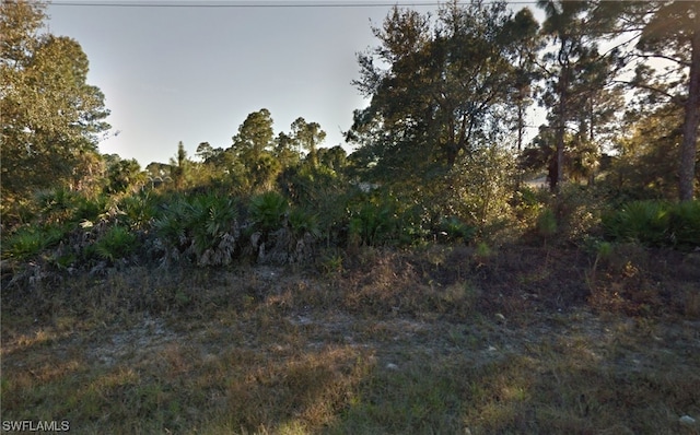 325 Austin Ave, Lehigh Acres FL, 33974 land for sale