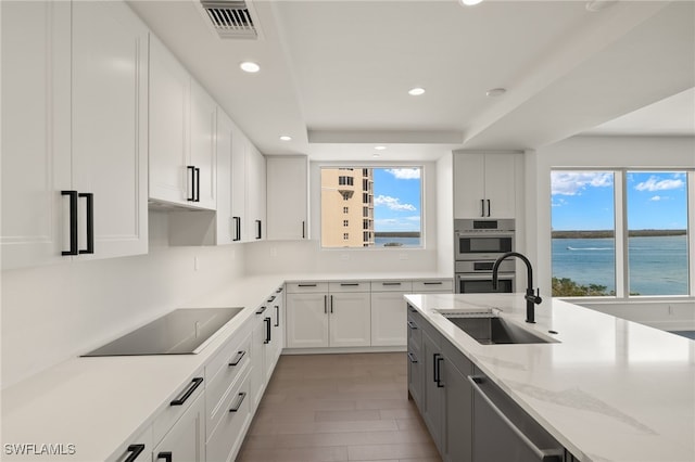 kitchen featuring a wealth of natural light, appliances with stainless steel finishes, a raised ceiling, and a sink