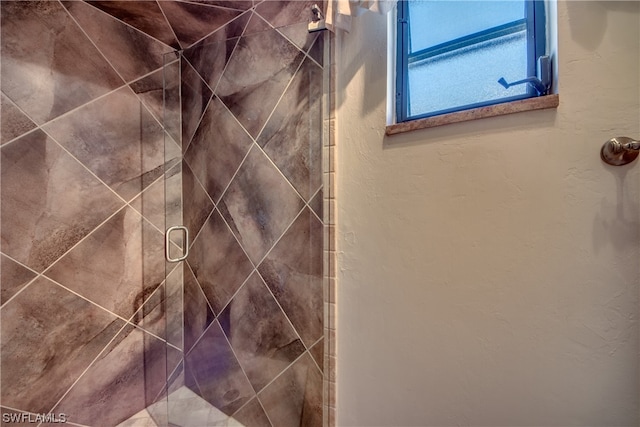 interior details with walk in shower