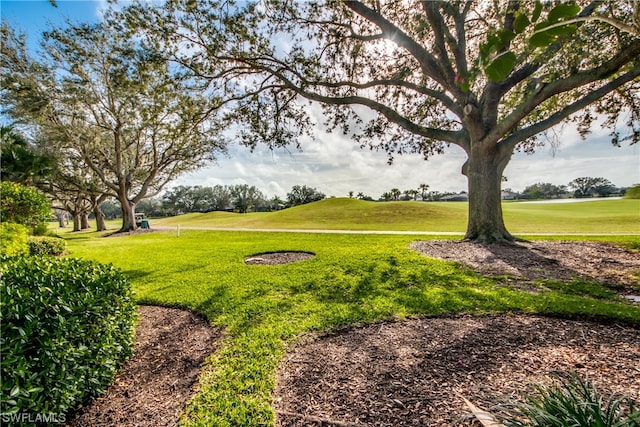 surrounding community featuring a yard