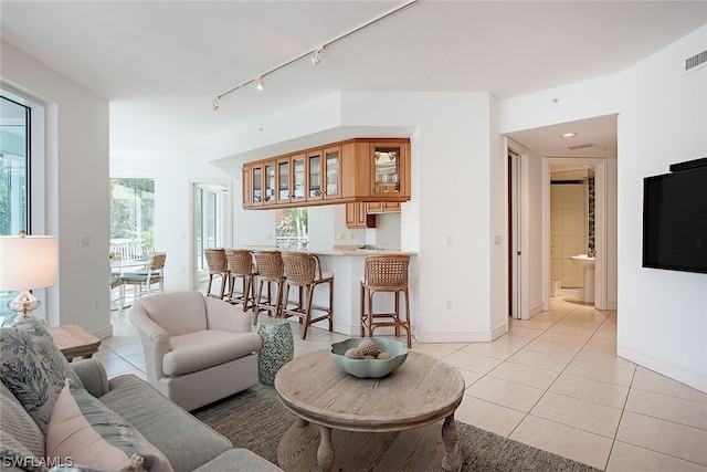 living room featuring track lighting, light tile floors, and a wealth of natural light