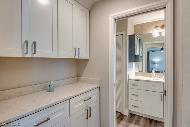 bathroom with wood-type flooring and large vanity