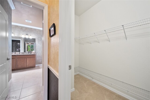 spacious closet with light carpet