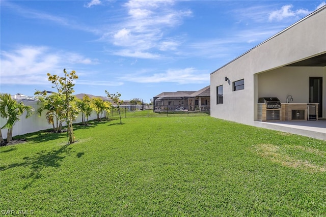 view of yard with an outdoor kitchen