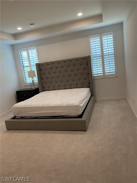 bedroom with multiple windows, a raised ceiling, and carpet floors