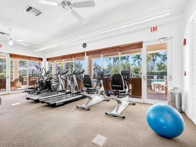 exercise room featuring carpet and ceiling fan