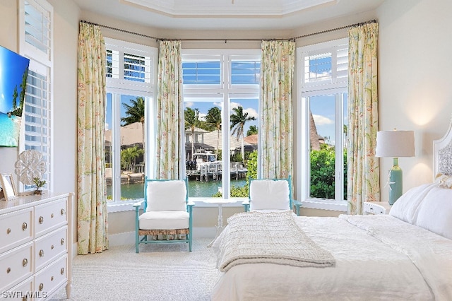 carpeted bedroom featuring crown molding, a water view, and a tray ceiling