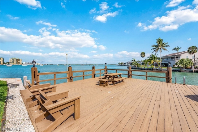 dock area with a water view