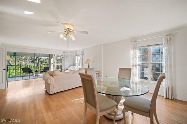 dining room featuring ceiling fan, plenty of natural light, and light hardwood / wood-style flooring