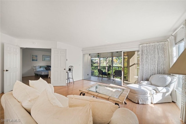 living room with light hardwood / wood-style flooring