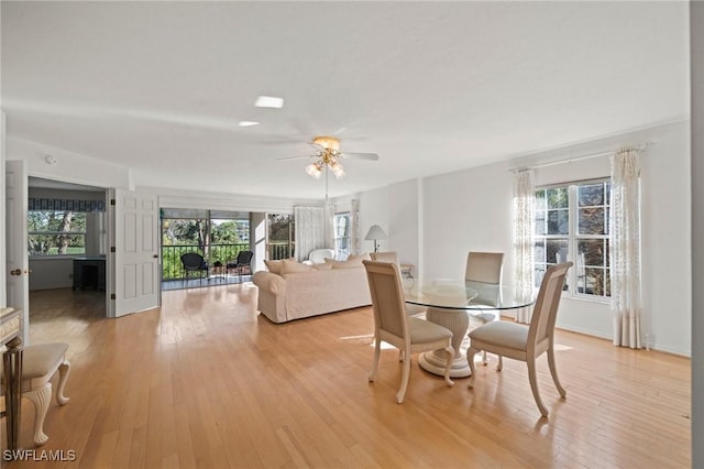 dining area featuring ceiling fan, light hardwood / wood-style flooring, and a wealth of natural light