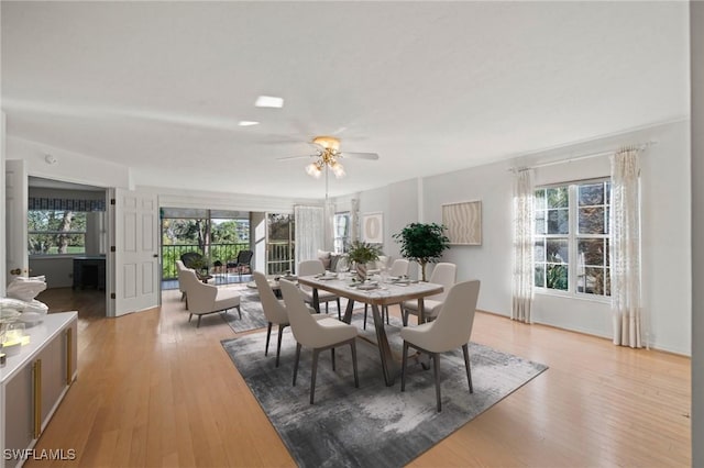 dining space with ceiling fan, plenty of natural light, and light hardwood / wood-style flooring