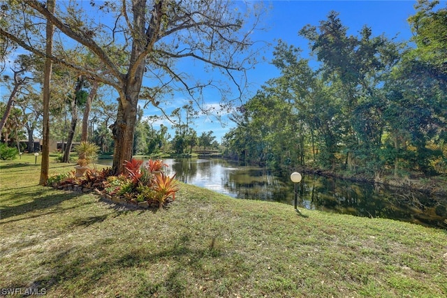 view of water feature